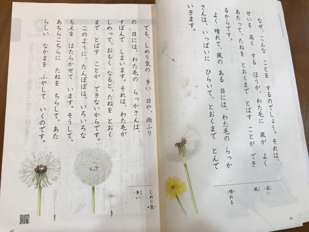 小学2年生国語の教科書「たんぽぽのちえ」