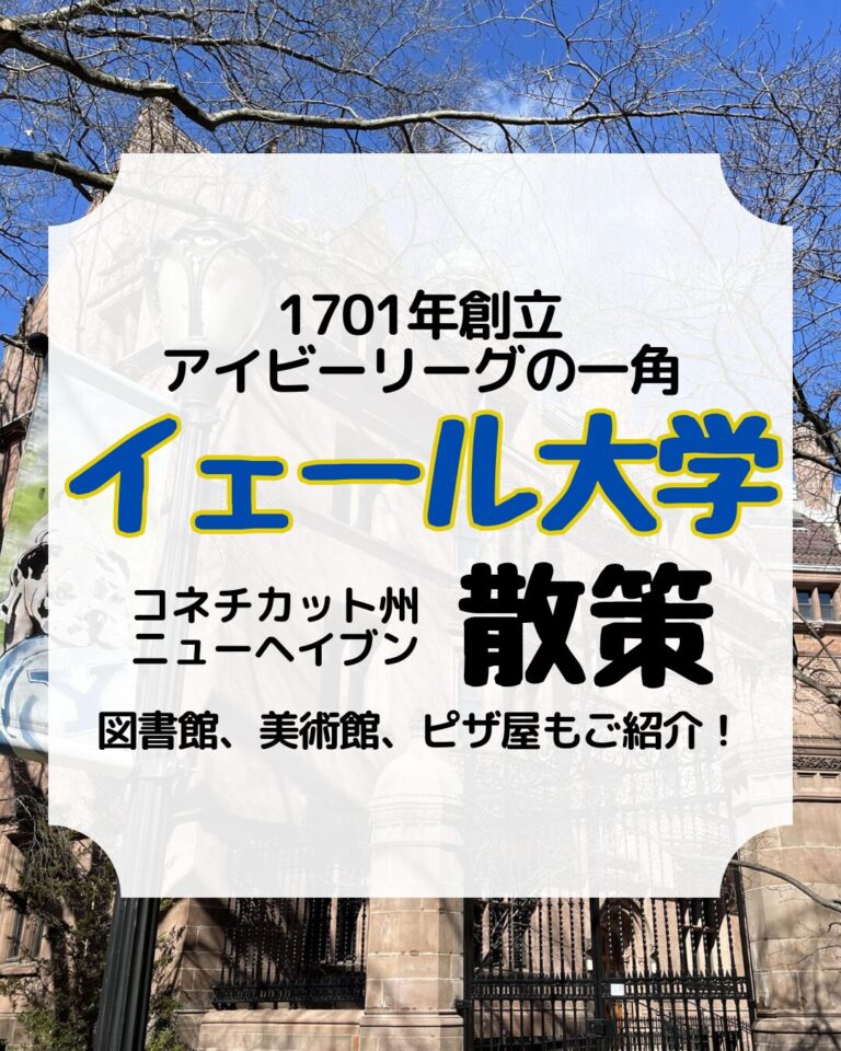イェール大学、ニューヘイブン、アイキャッチ