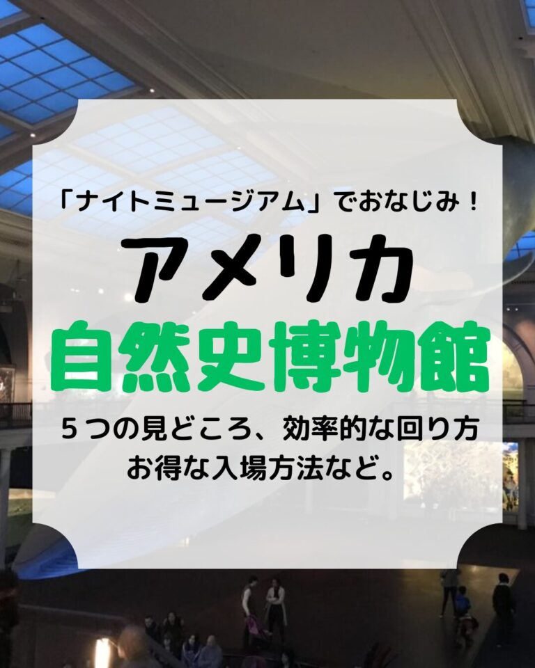 アメリカ 自然史博物館、アイキャッチ