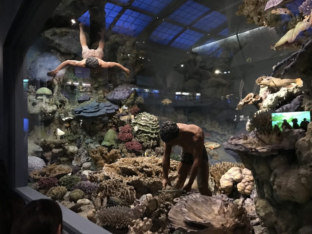アメリカ自然史博物館