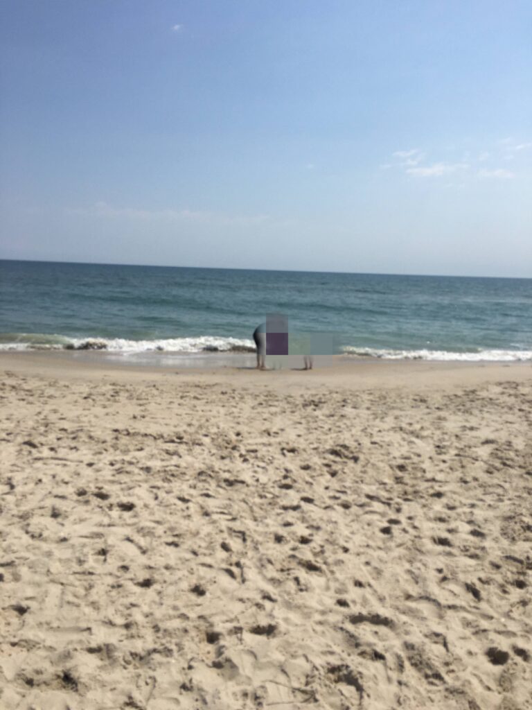 野生の馬、アサチーグ（アサティーグ）島、Assateague Island