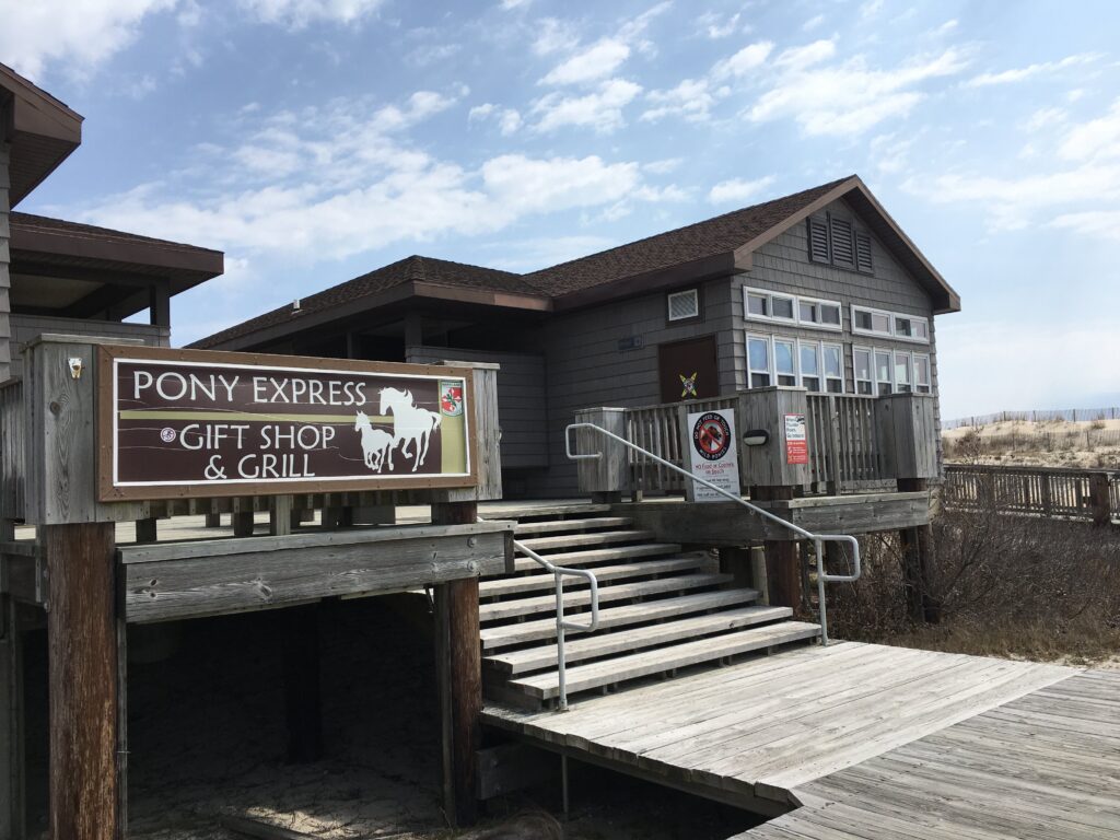 野生の馬、アサチーグ（アサティーグ）島、Assateague Island