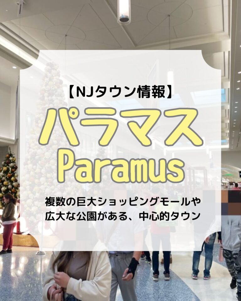 タウン情報、パラマス、アイキャッチ