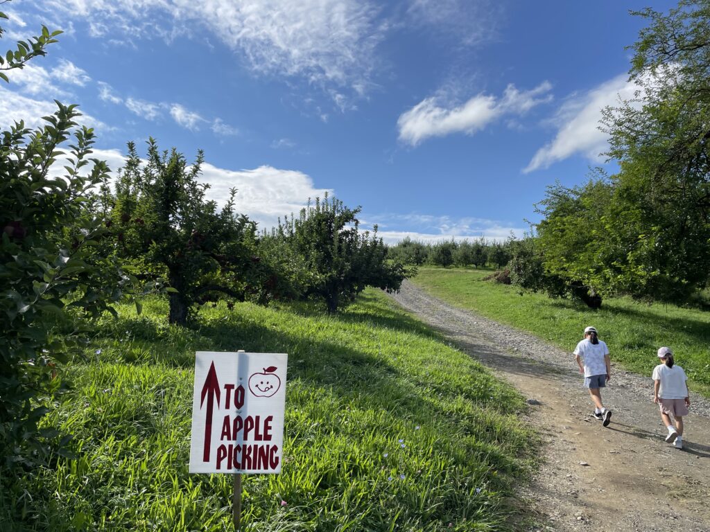 りんご狩りおすすめファーム6選、masker orchards