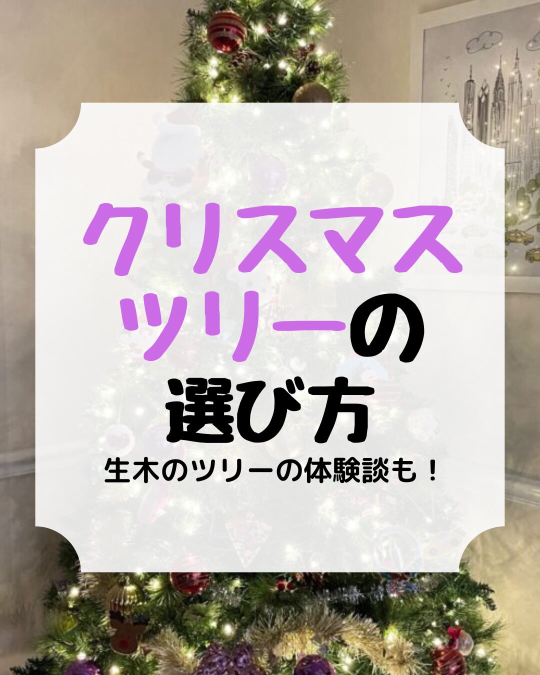 クリスマス、生木のツリー、アイキャッチ