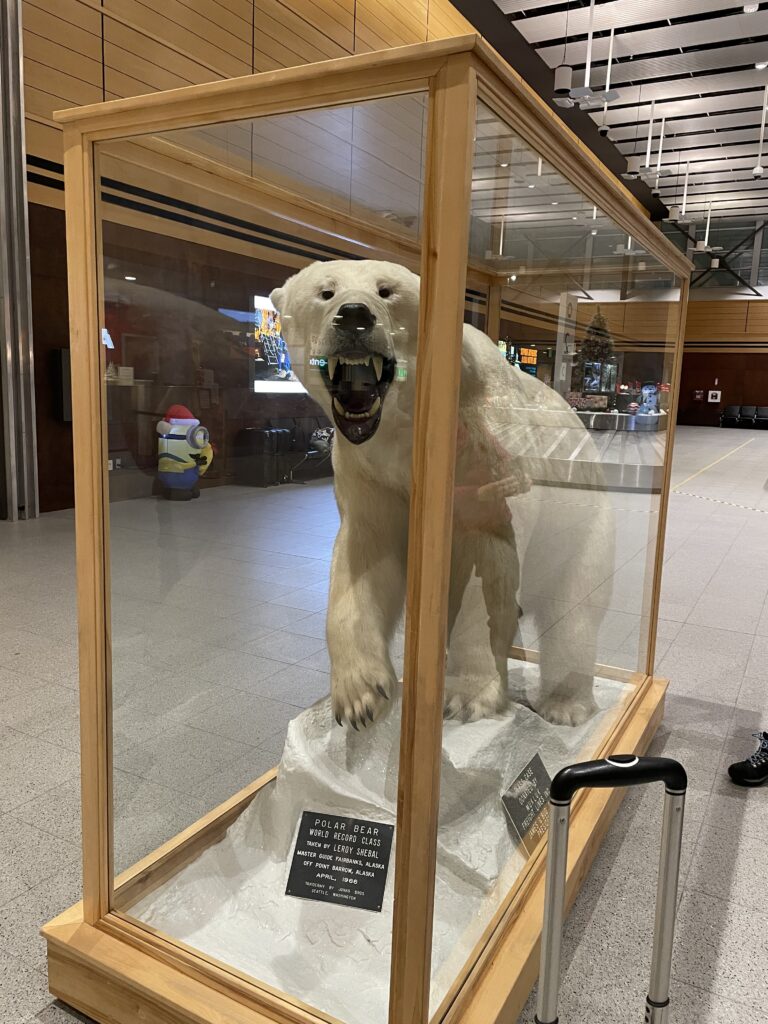 子連れアラスカ旅行記、オーロラ、フェアバンクス空港