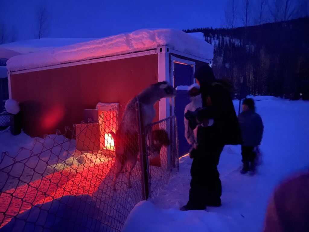 子連れアラスカ旅行記、オーロラ、チナ温泉リゾート