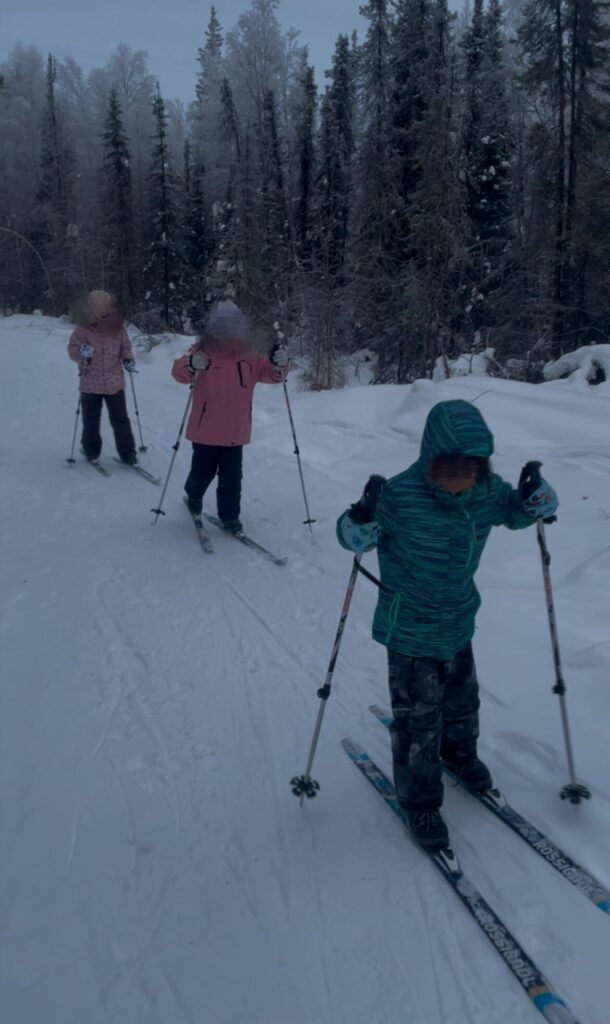 子連れアラスカ旅行記、オーロラ、チナ温泉リゾート