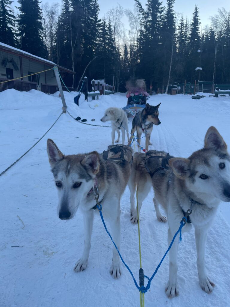 子連れアラスカ旅行記、オーロラ、チナ温泉リゾート