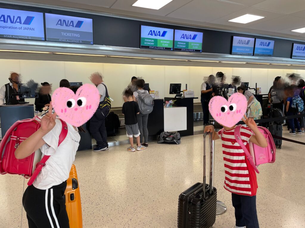 日本へ一時帰国、ana