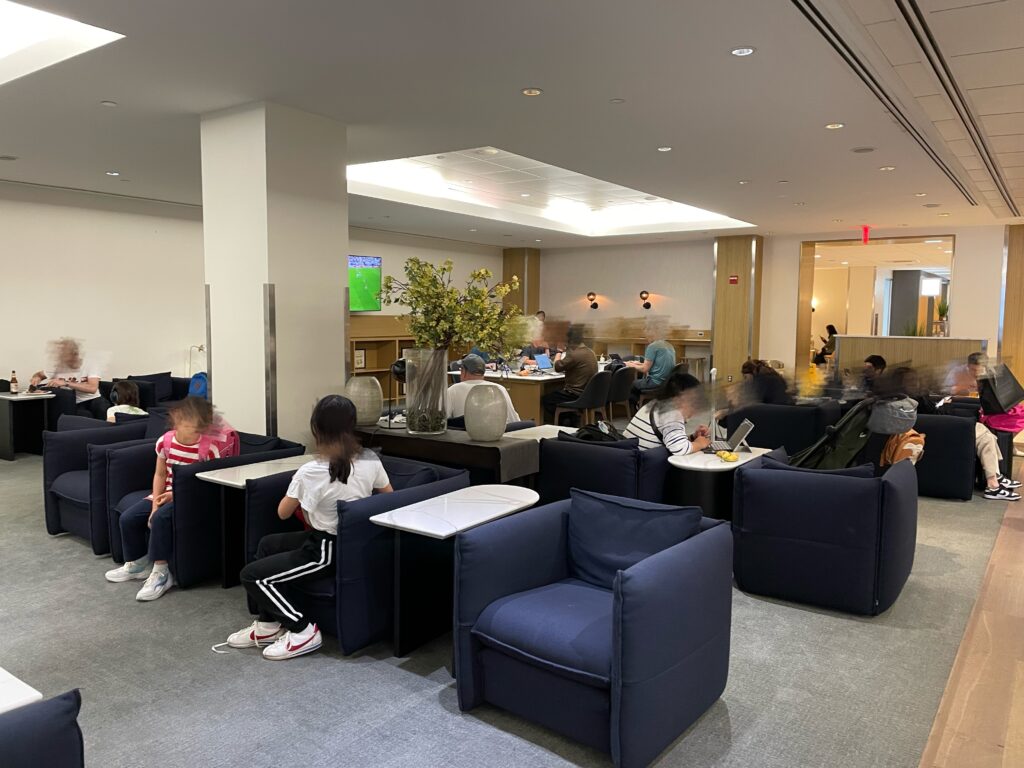 日本へ一時帰国、ana