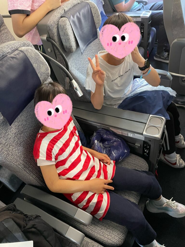 日本へ一時帰国、ana