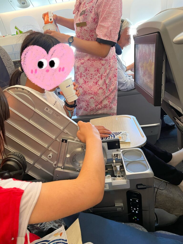 日本へ一時帰国、ana