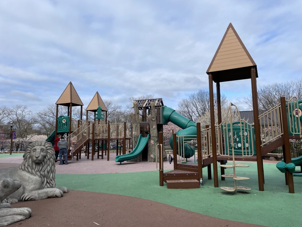 アメリカで桜、お花見、桜祭り、branch brook park