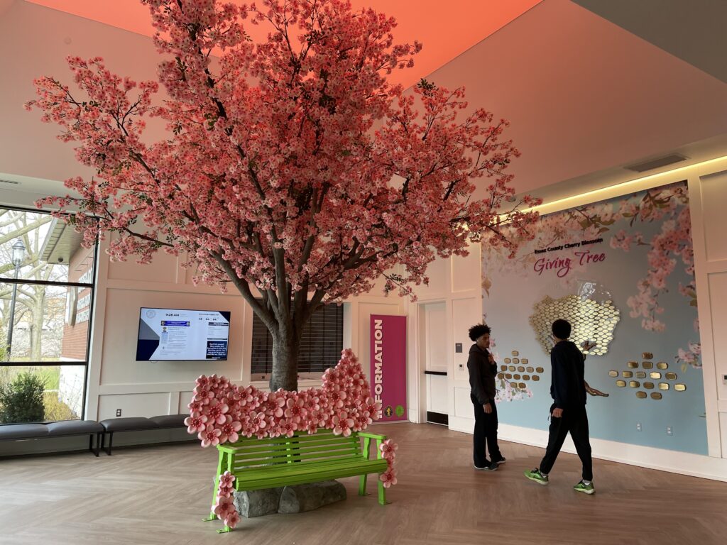 アメリカで桜、お花見、桜祭り、branch brook park