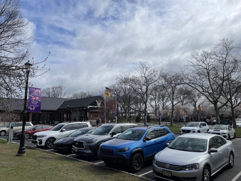 アメリカで桜、お花見、桜祭り、branch brook park