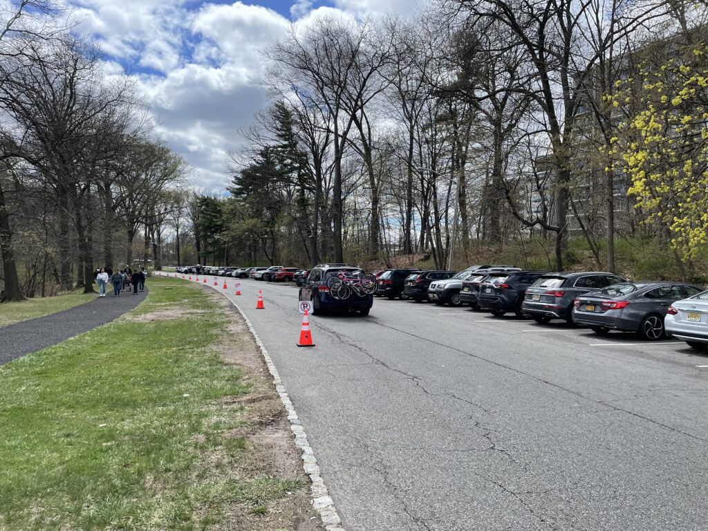 アメリカで桜、お花見、桜祭り、branch brook park