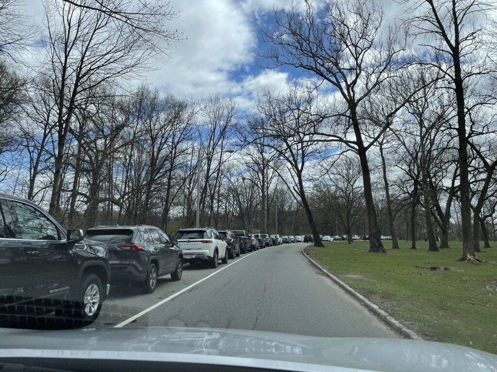アメリカで桜、お花見、桜祭り、branch brook park