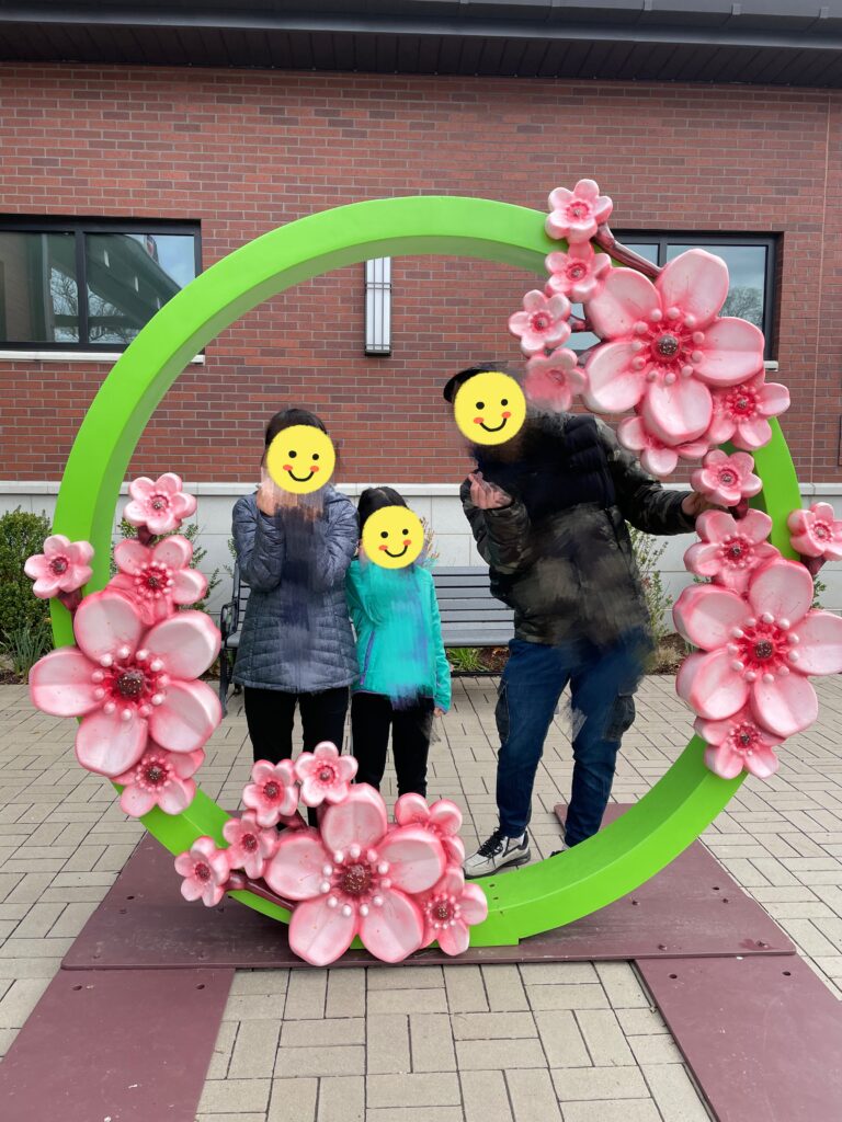 アメリカで桜、お花見、桜祭り、branch brook park