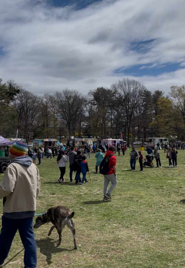 アメリカで桜、お花見、桜祭り、branch brook park