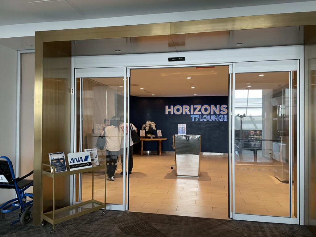 日本へ一時帰国、ana