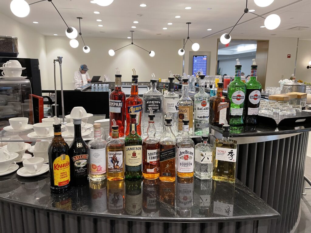 日本へ一時帰国、ana