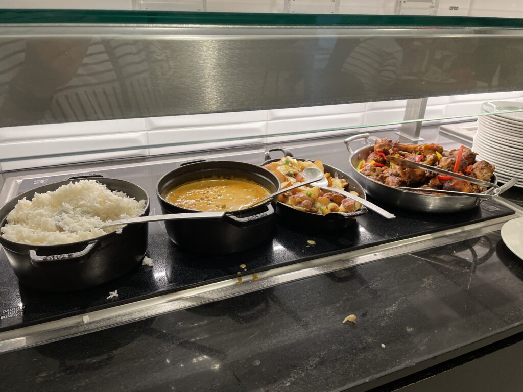 日本へ一時帰国、ana