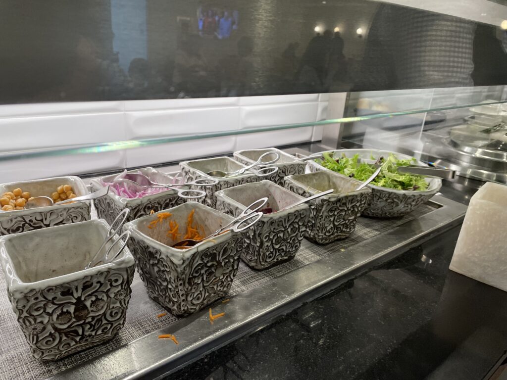 日本へ一時帰国、ana