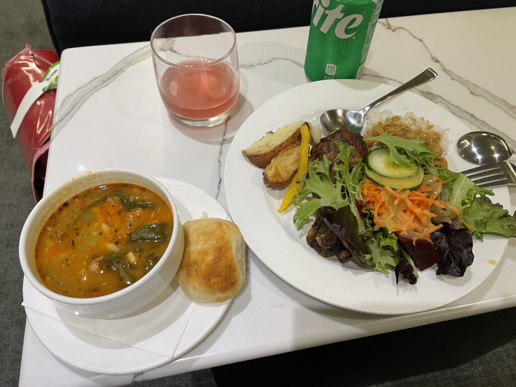 日本へ一時帰国、ana