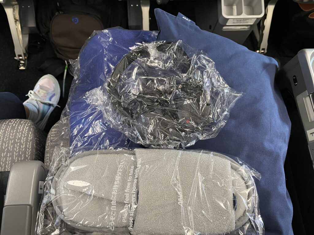 日本へ一時帰国、ana