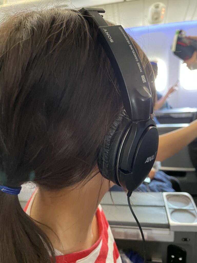 日本へ一時帰国、ana