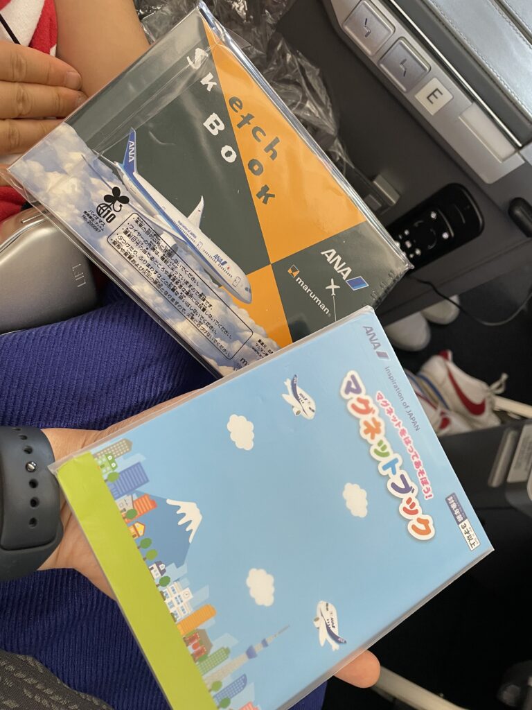 日本へ一時帰国、ana