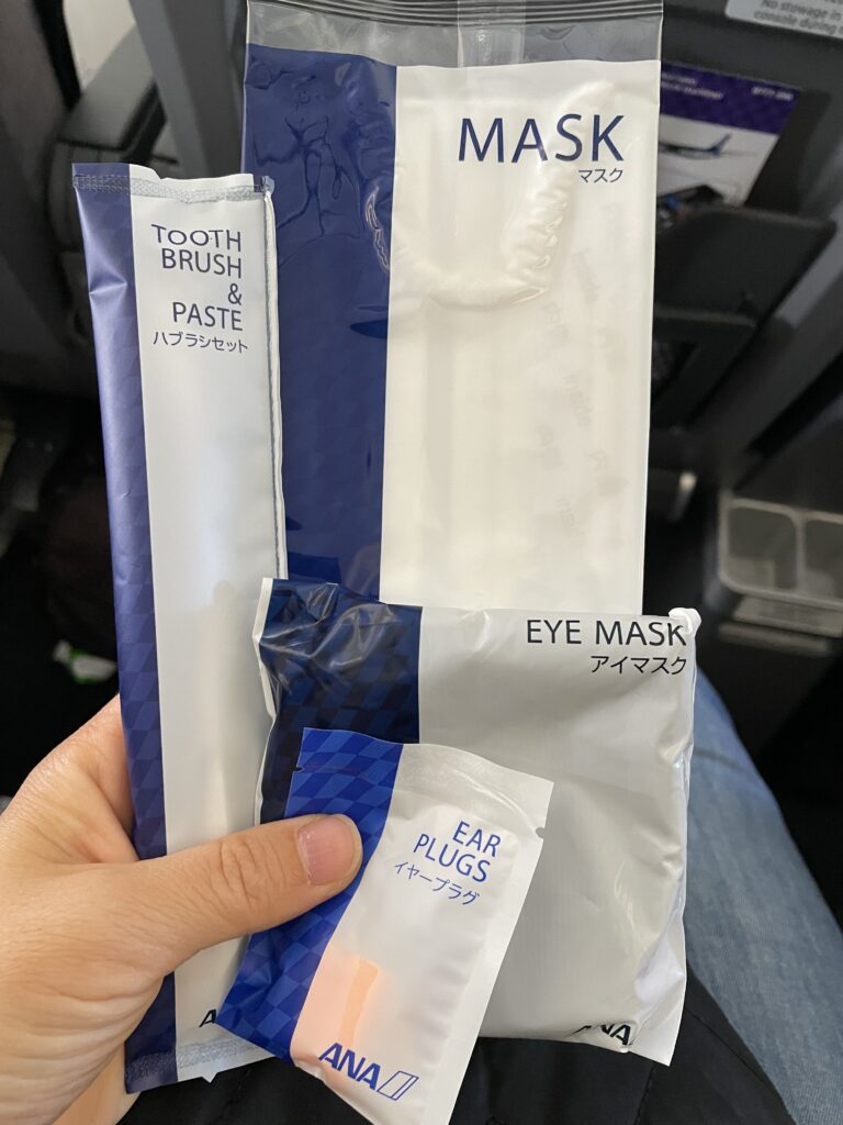 日本へ一時帰国、ana