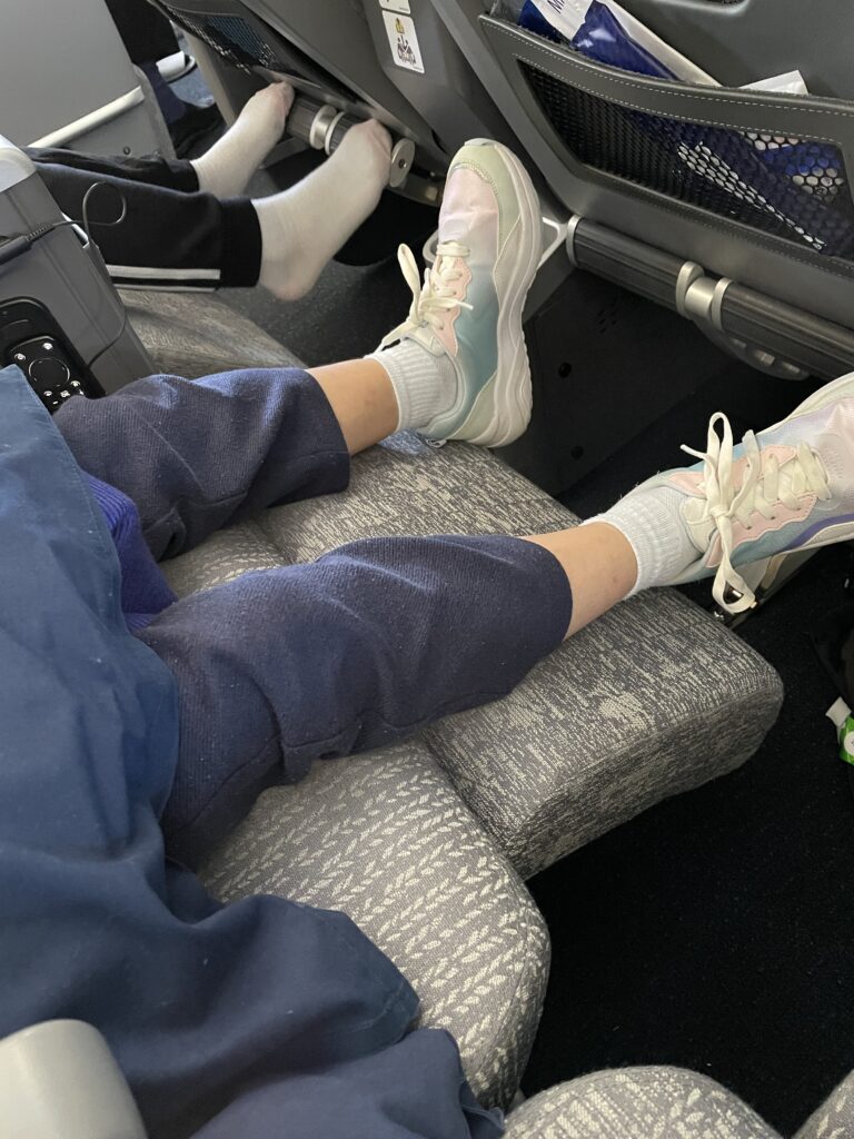 日本へ一時帰国、ana