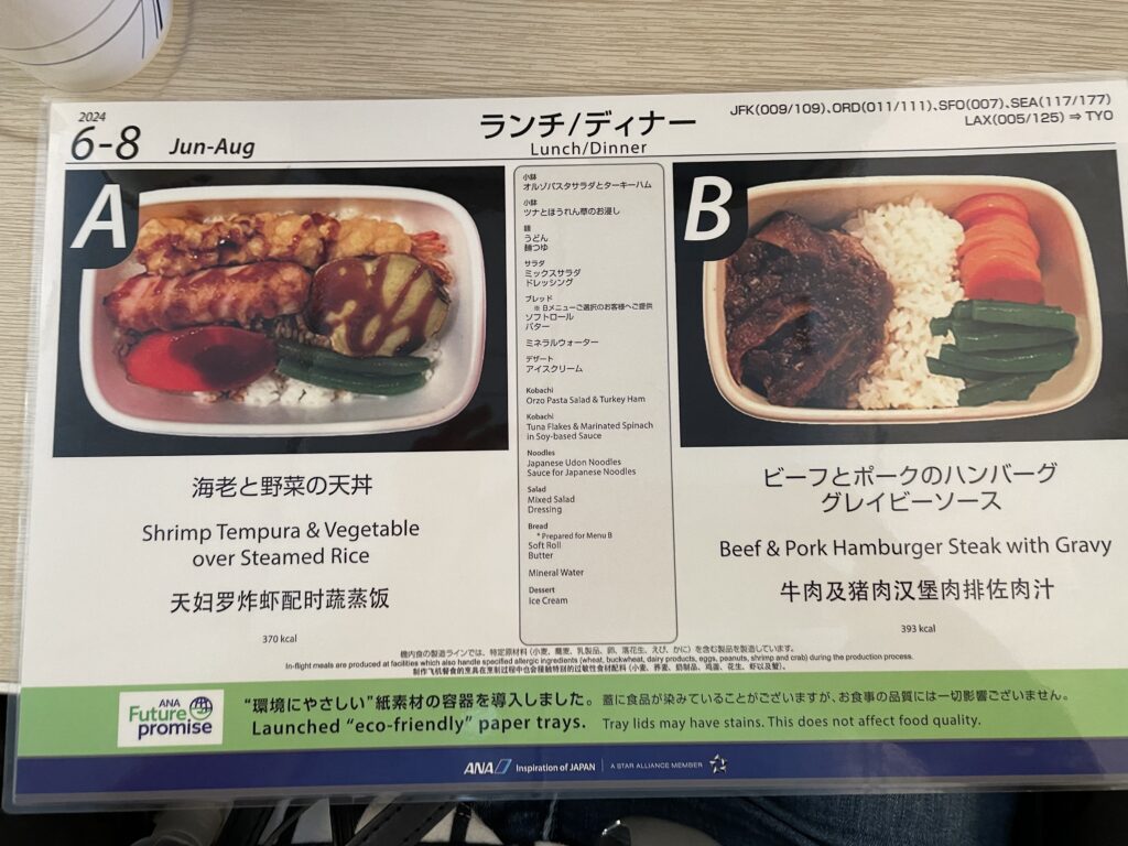 日本へ一時帰国、ana