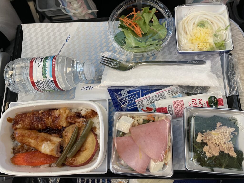 日本へ一時帰国、ana