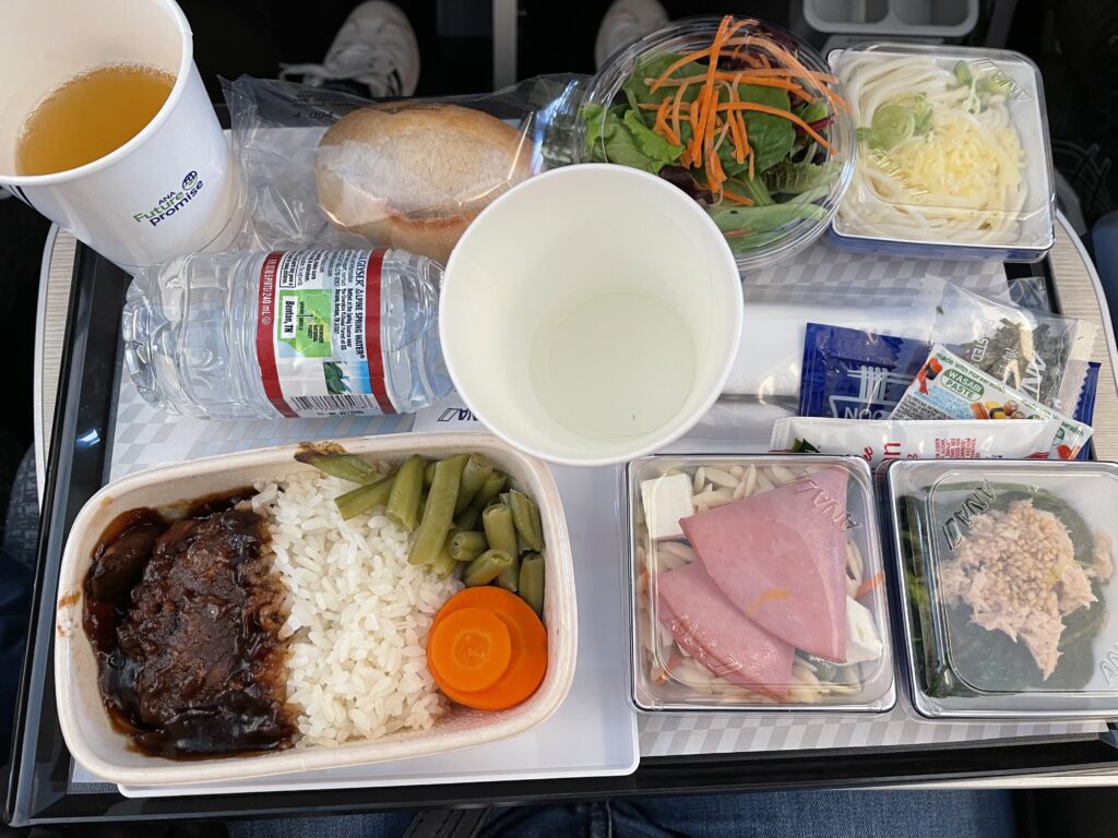 日本へ一時帰国、ana