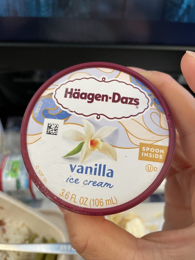 日本へ一時帰国、ana