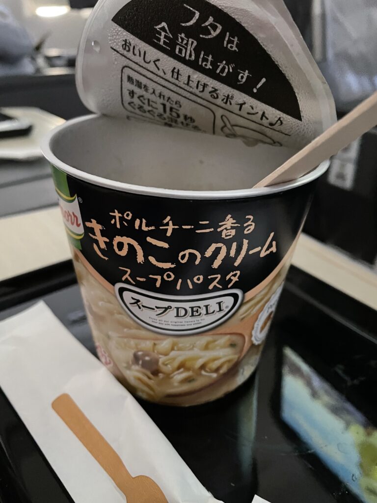 日本へ一時帰国、ana