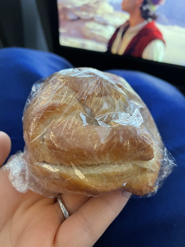 日本へ一時帰国、ana