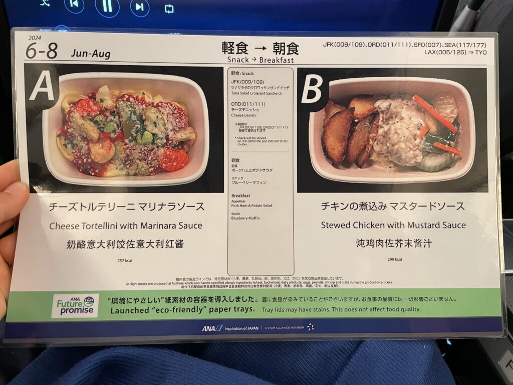 日本へ一時帰国、ana