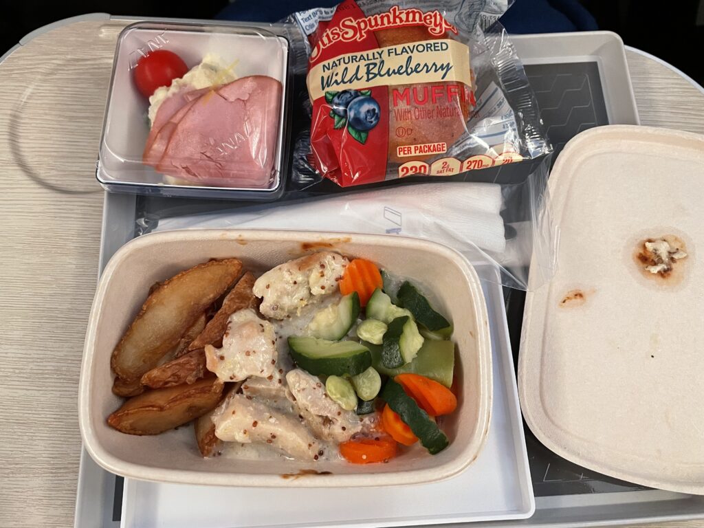 日本へ一時帰国、ana