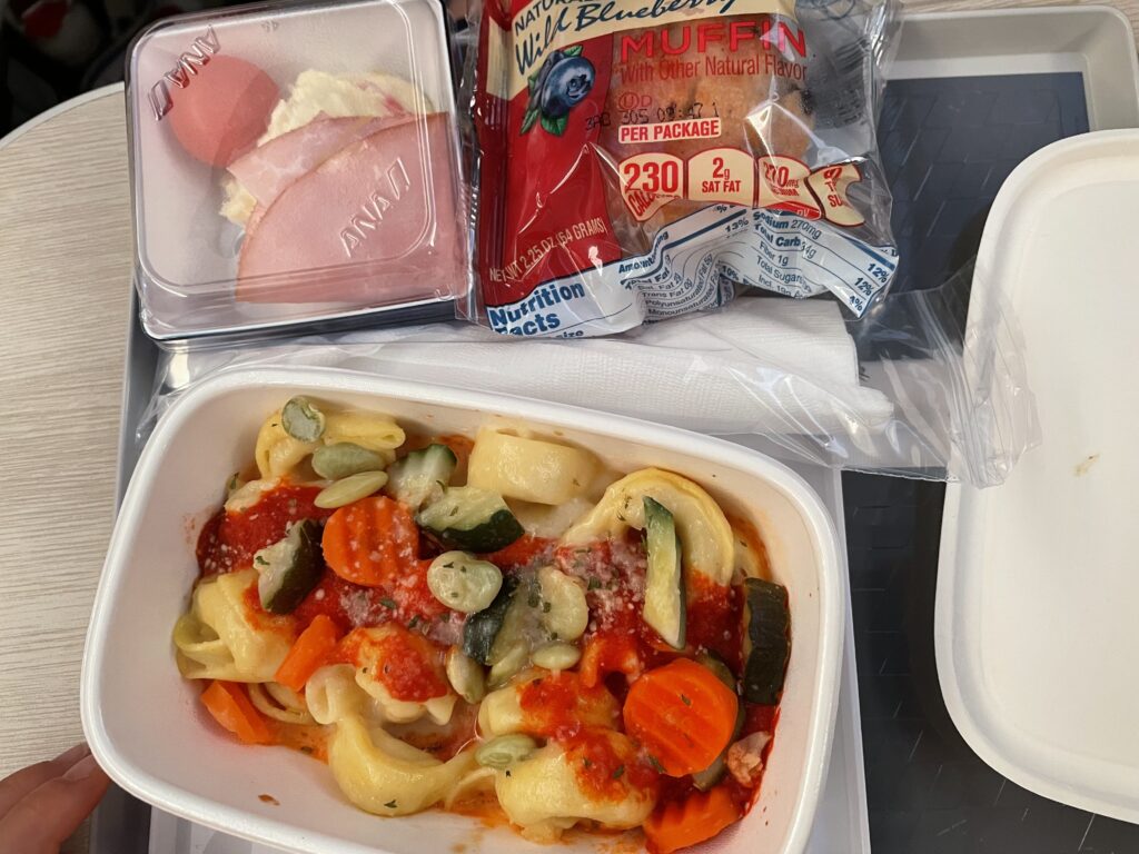 日本へ一時帰国、ana