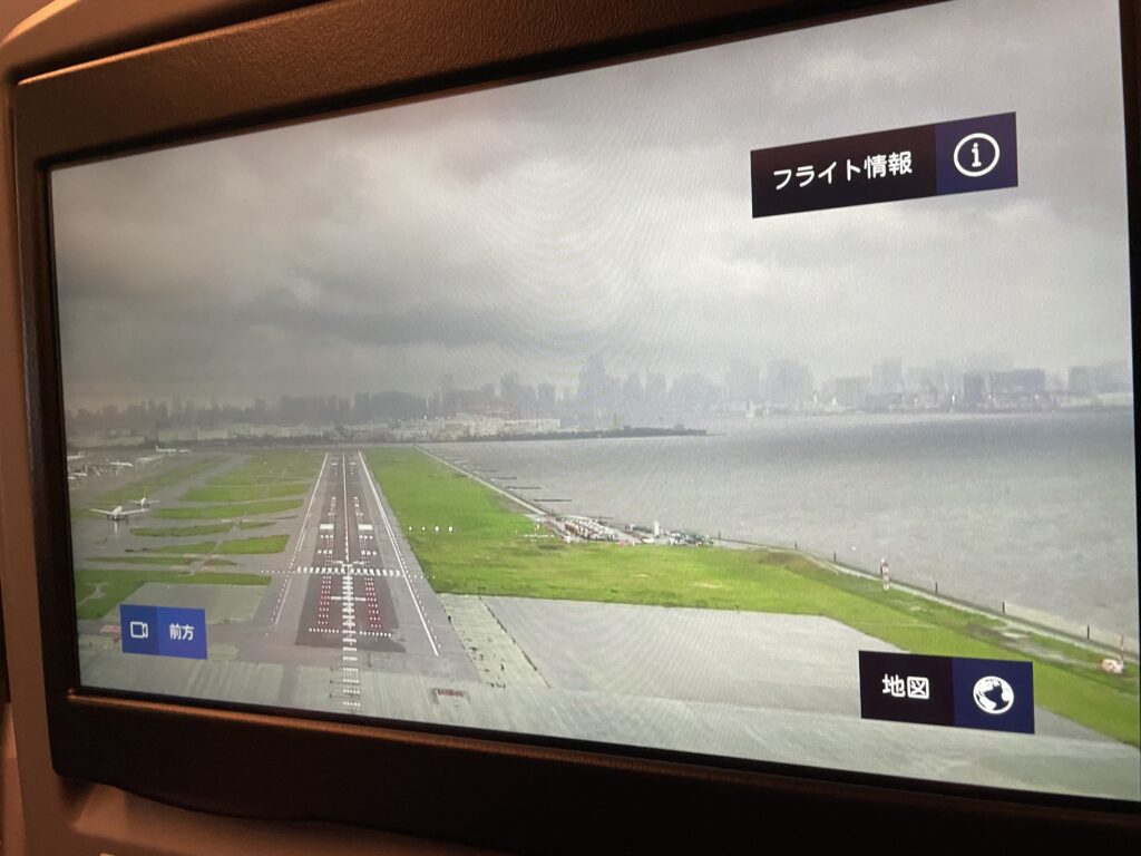 日本へ一時帰国、ana