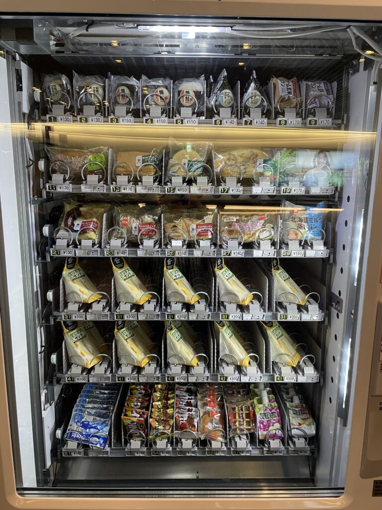 日本へ一時帰国、羽田空港