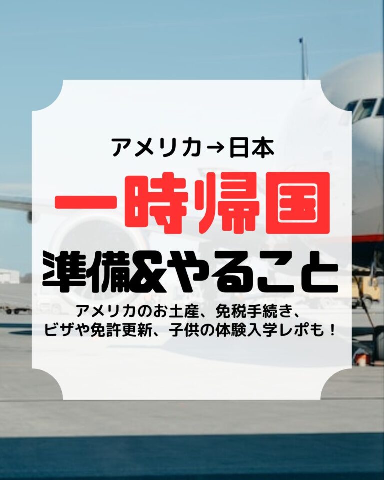 日本への一時帰国、準備、やること、アイキャッチ
