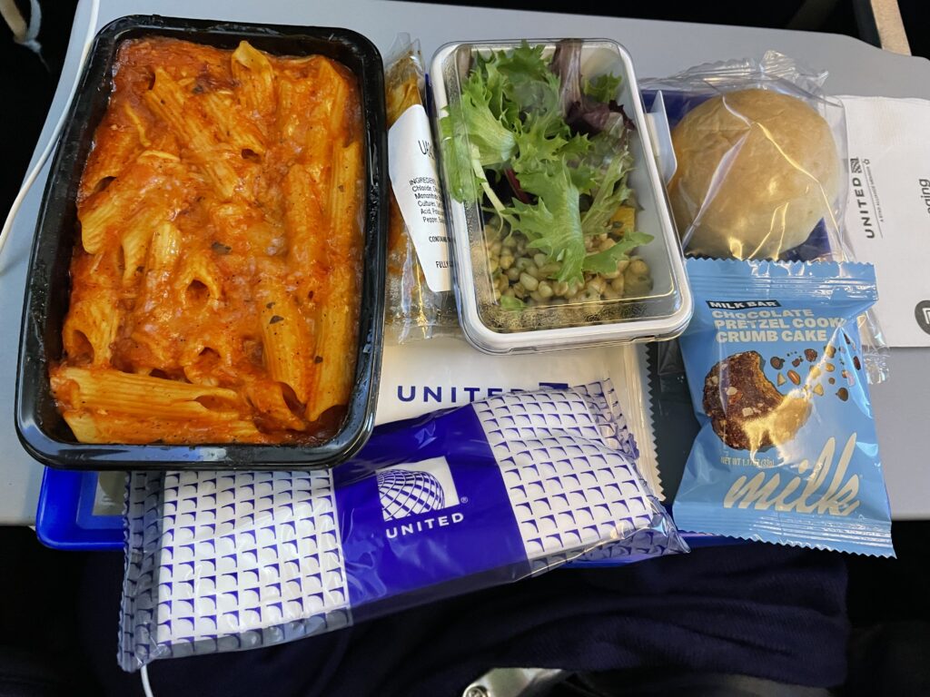 日本へ一時帰国、united airline