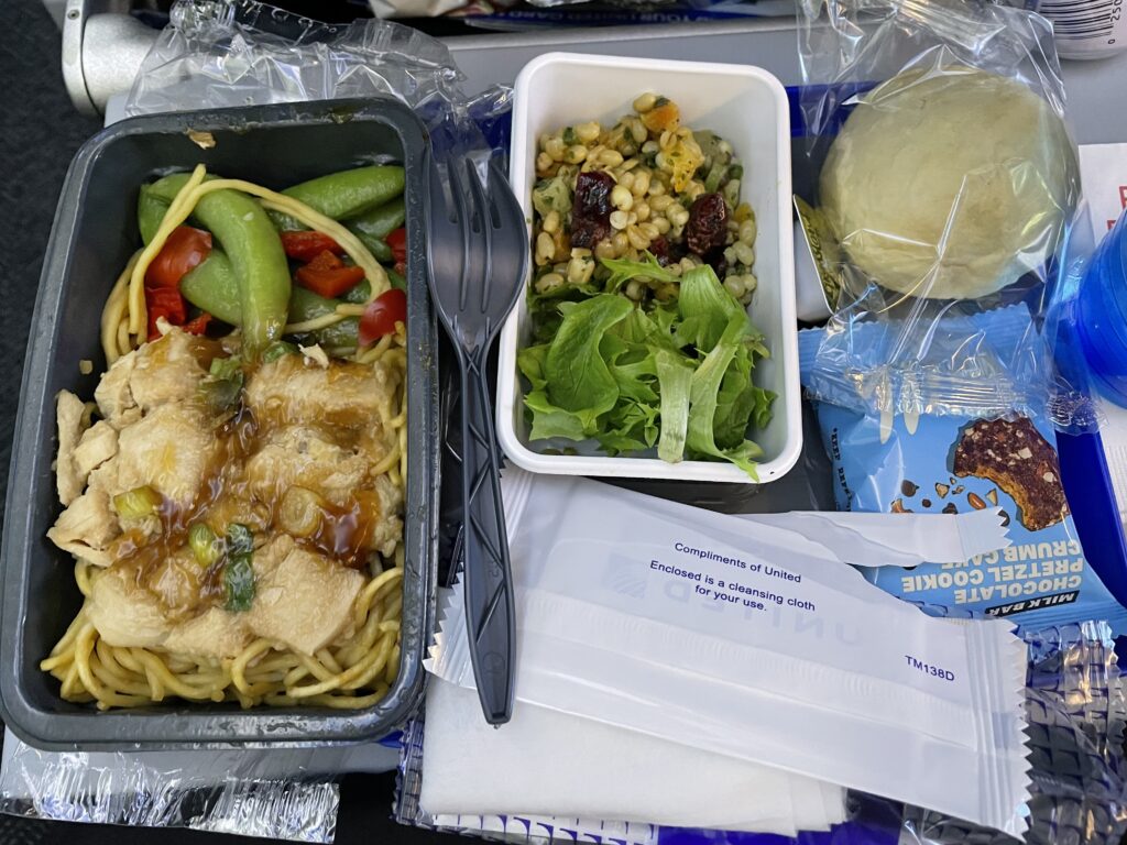 日本へ一時帰国、united airline