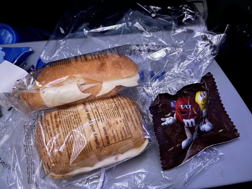 日本へ一時帰国、united airline