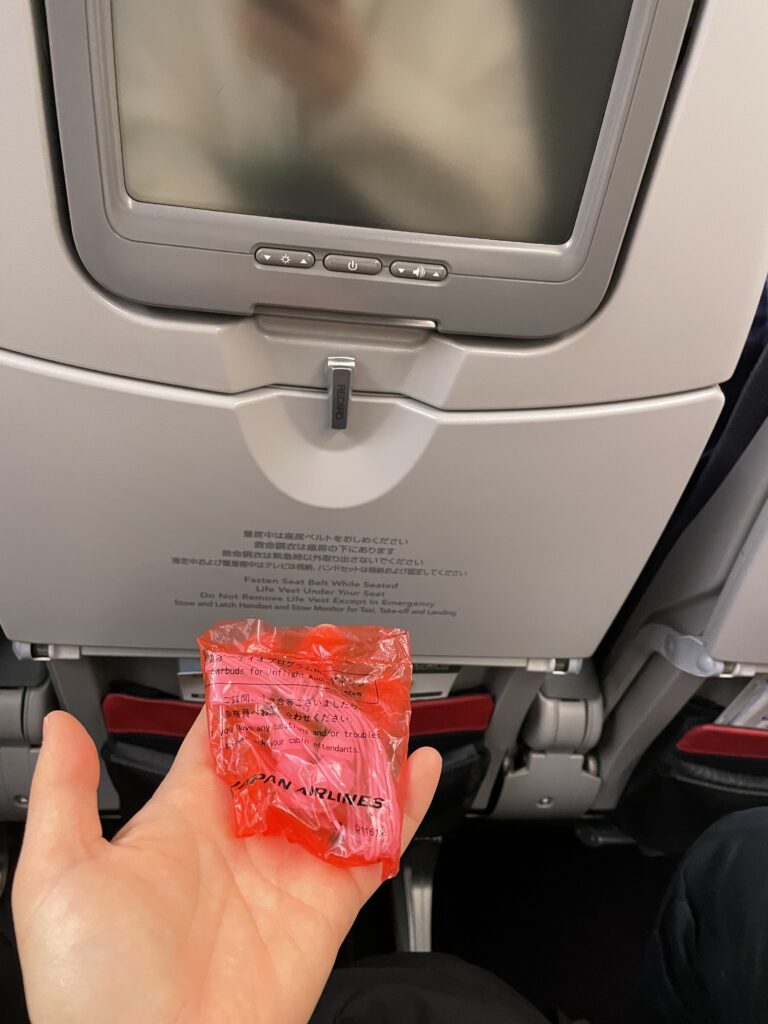 日本へ一時帰国、jale